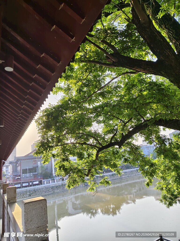 桥边绿树映湖水