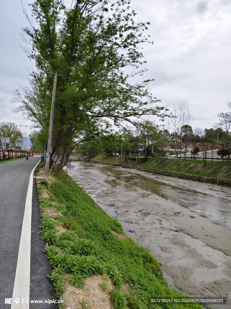 路边湍急河流与葱郁树木