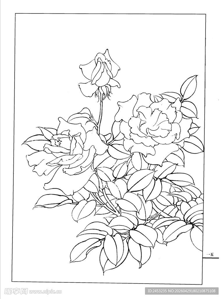 花卉线描图
