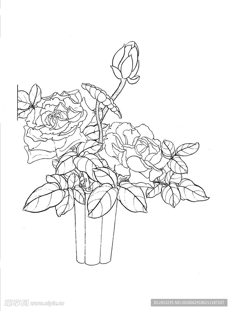 盆栽花卉线描图