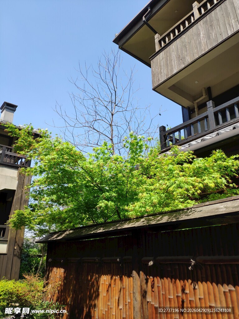 拈花湾