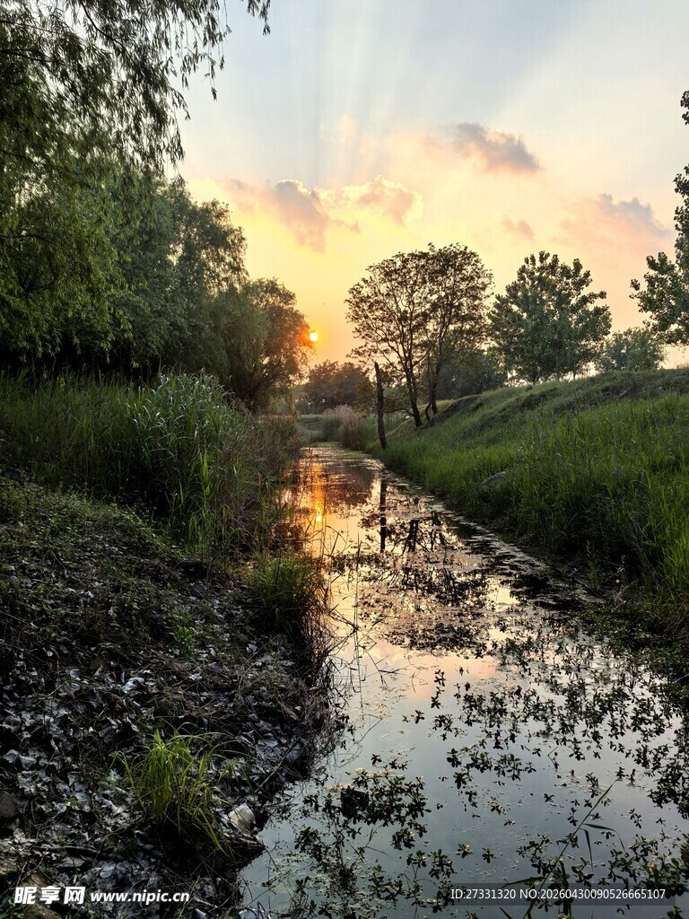 夕阳下的静谧溪边景色