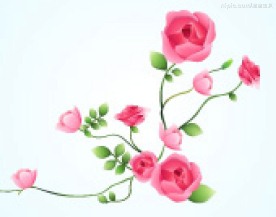 情人节花纹边框