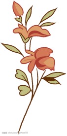PSD花纹