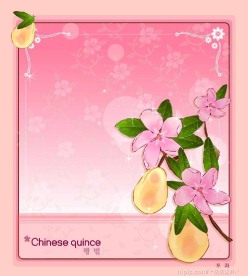 精美韩国花纹底纹