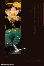 超清PSD分层素材