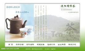 茶叶网页模板
