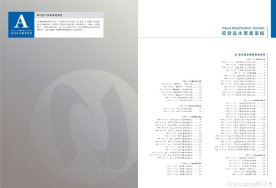 中国网通集团VIS手册