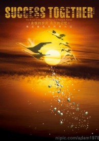 精品房地产平面15