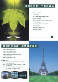 DM设计