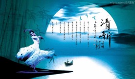 舞动的凤尾竹