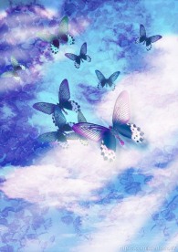 梦幻蝴蝶PSD分层模板