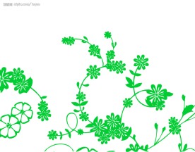 漂亮花纹