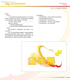 大同市金苹果双语学校VIS视觉形象识别手册