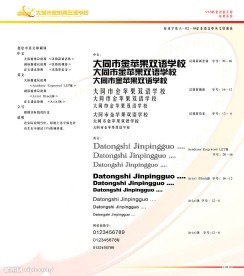 大同市金苹果双语学校VIS视觉形象识别手册