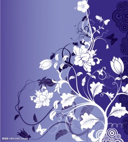 精美时尚花纹矢量素材