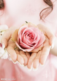 婚纱美女玫瑰