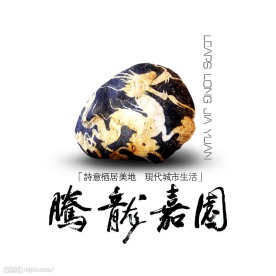 龙腾小区-logo方案