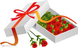 情人节礼物