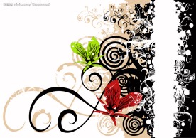 蝴蝶与花朵美丽花纹