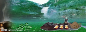 茶图片