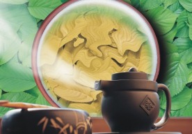 茶叶广告