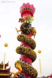菊花龙柱
