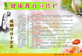 健康教育宣传栏2