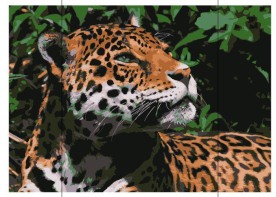 美洲豹【eps格式225KB】