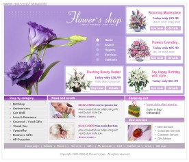 电子商务网站模板