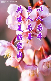 高精度计划生育宣传小知识展板