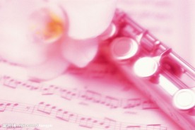 茶花与长笛局部