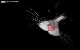 超酷视觉艺术设计