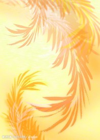 有类似羽毛图案的黄色背景