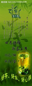 新茶上市