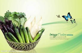 高清晰[蔬菜 青瓜]分层PSD(源文件)