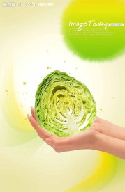 高清晰[包菜心]分层PSD(源文件)