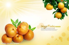 高清晰[橙子]分层PSD(源文件)