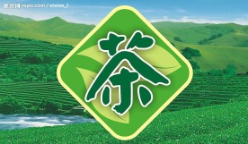 茶字海报 LOGO