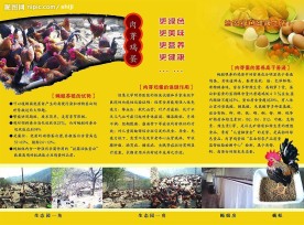 鸡蛋三折页设计图片