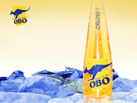 啤酒包装效果图