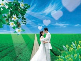 茶 茶园 人物 婚纱 浪漫 花 茶花 爱心 绿色 蓝天 爱情 阳光 道路 小路