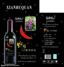 葡萄酒包装