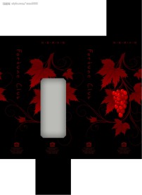 很正点的葡萄酒包装