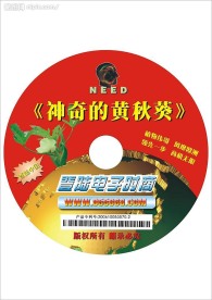 电子商务-光盘设计