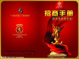 08年新招商手册封面