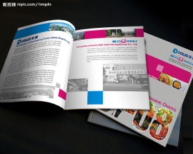 威力电器企业画册