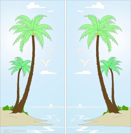 移门花纹 海南风光