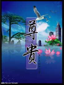 精品房产广告设计