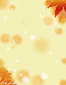 枫叶情  衣柜门  移门